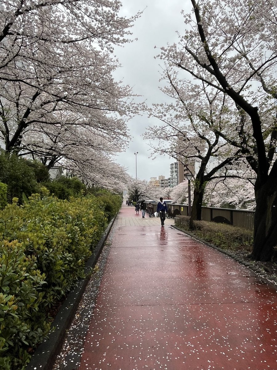 TheRealEricHu's tweet photo. Walked in Tokyo today. https://t.co/LQ27mSkgUb
