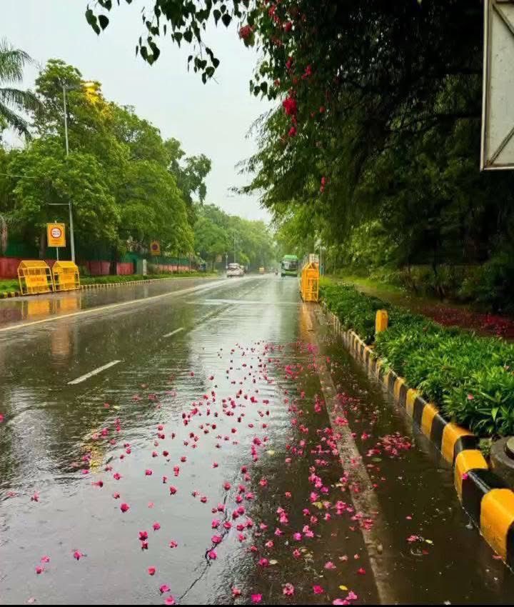 Aяαβιc Qυәәη tweet media