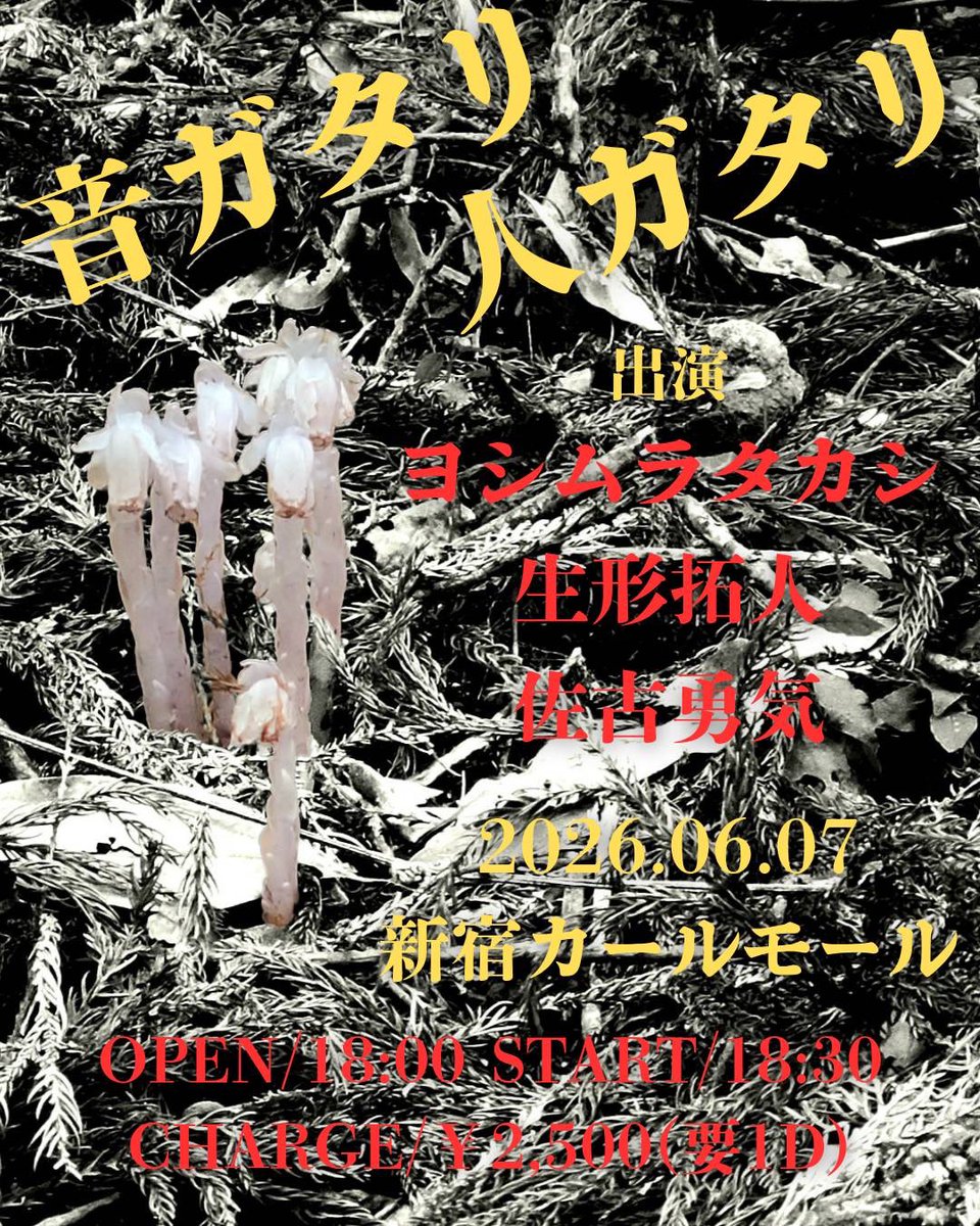生形拓人 tweet media