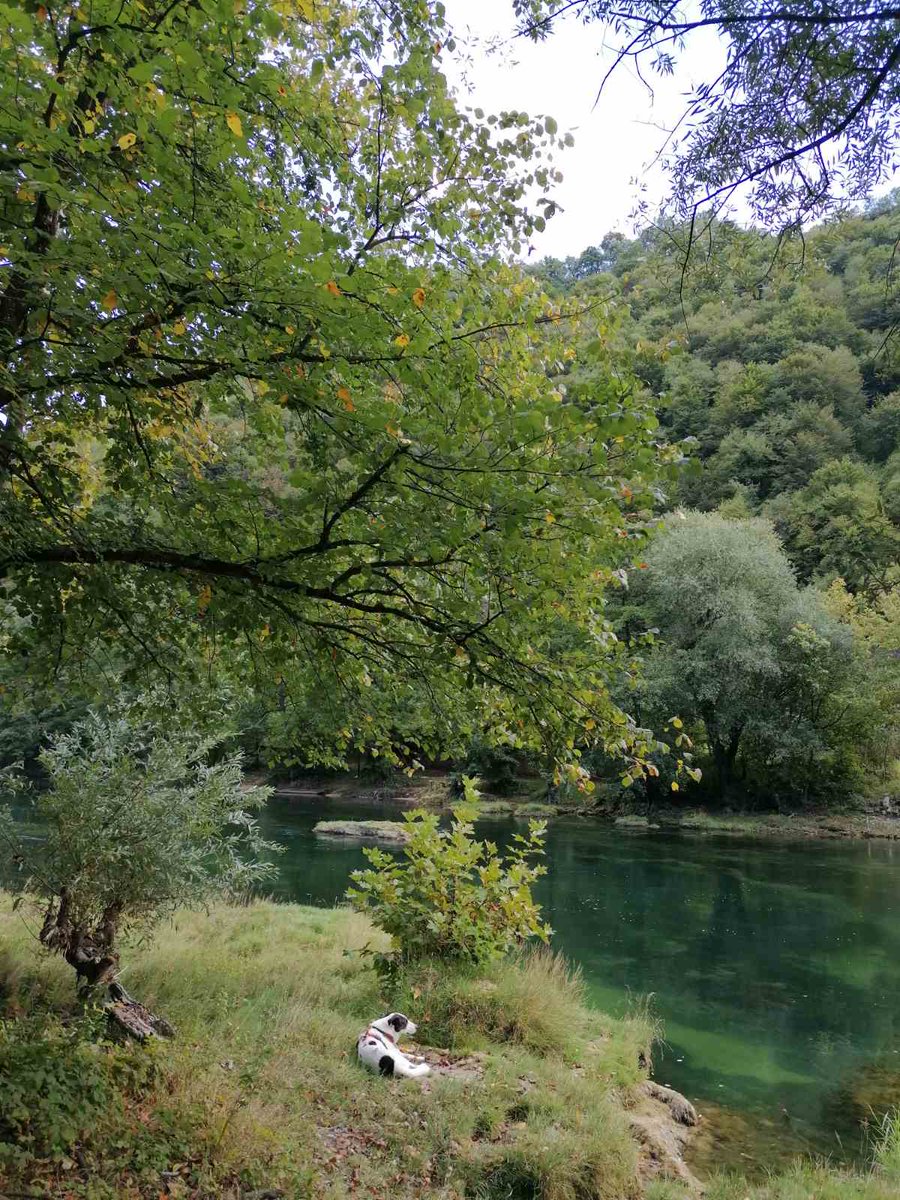 Panagrod tweet media