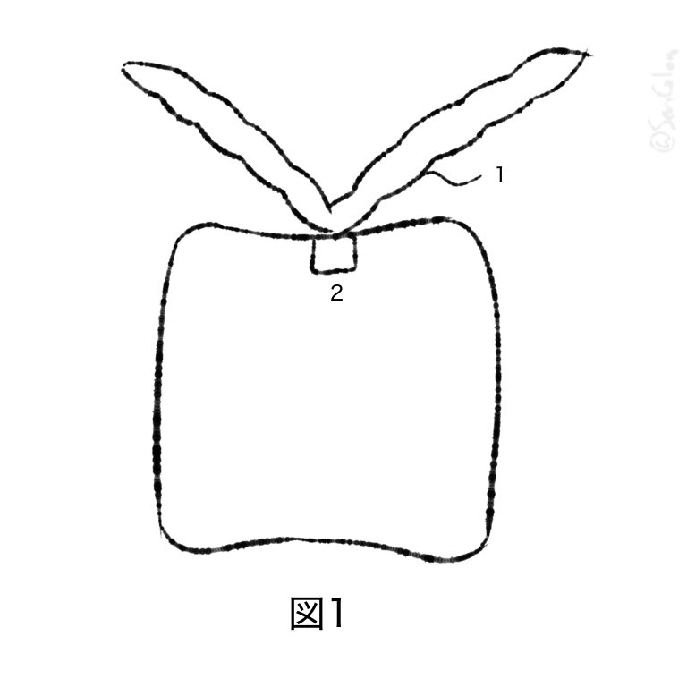 colon_everywhere tweet media