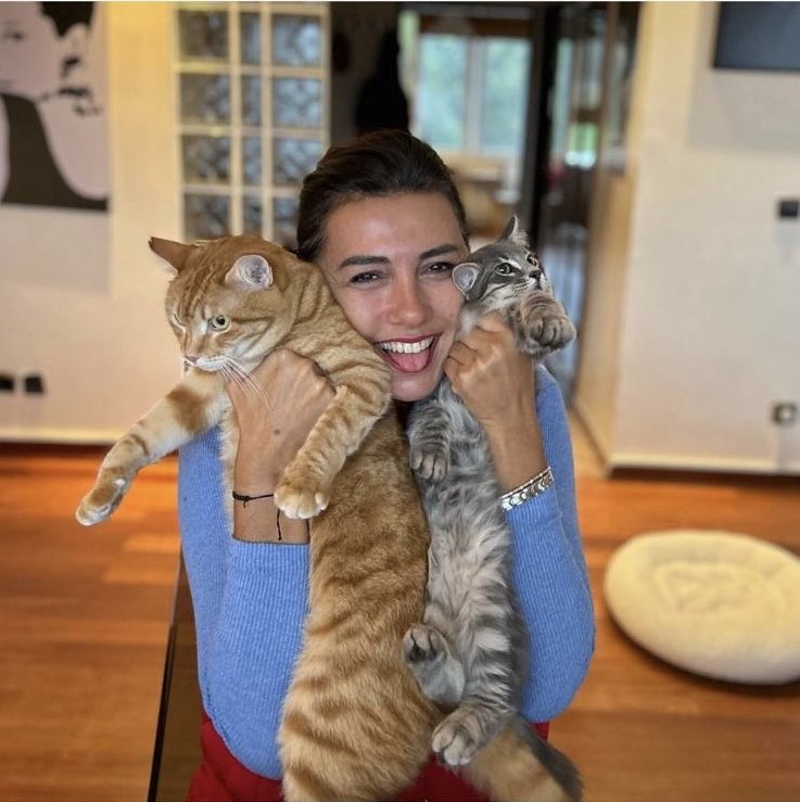 Taciser ÜLKÜ tweet media