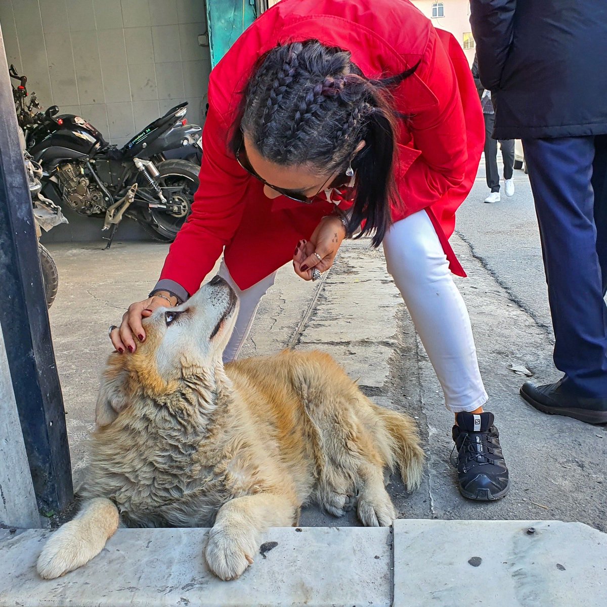 Taciser ÜLKÜ tweet media