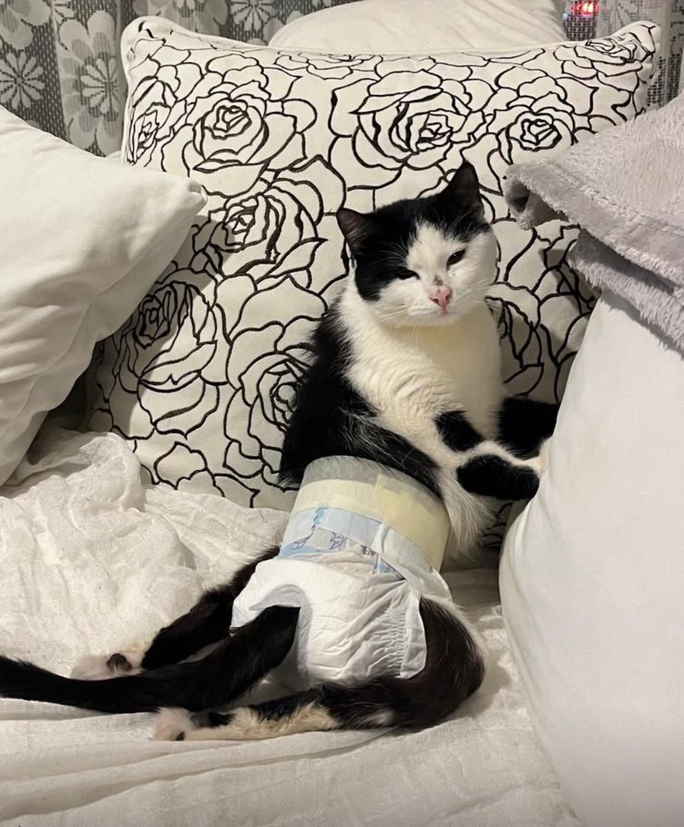 mihav derneği tweet media