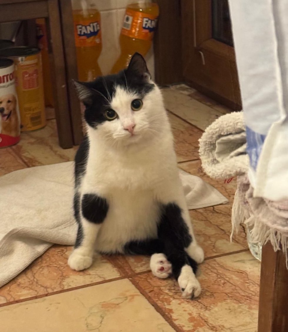 mihav derneği tweet media