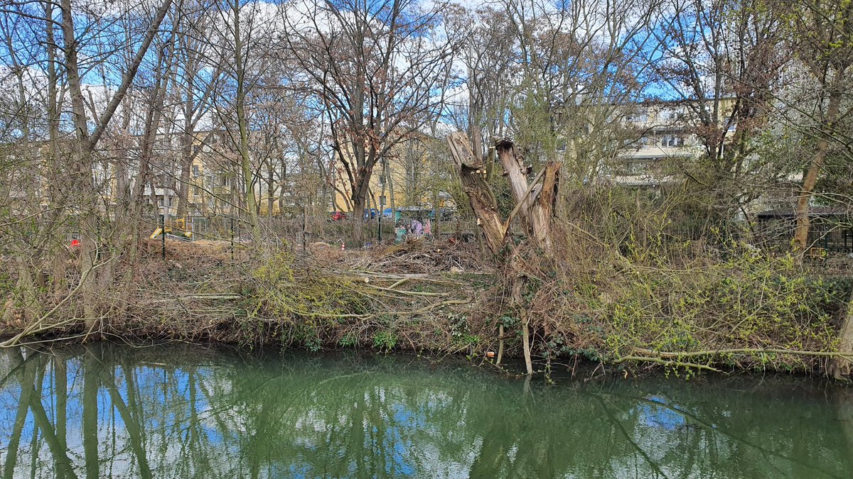 Wilde Wiese tweet media