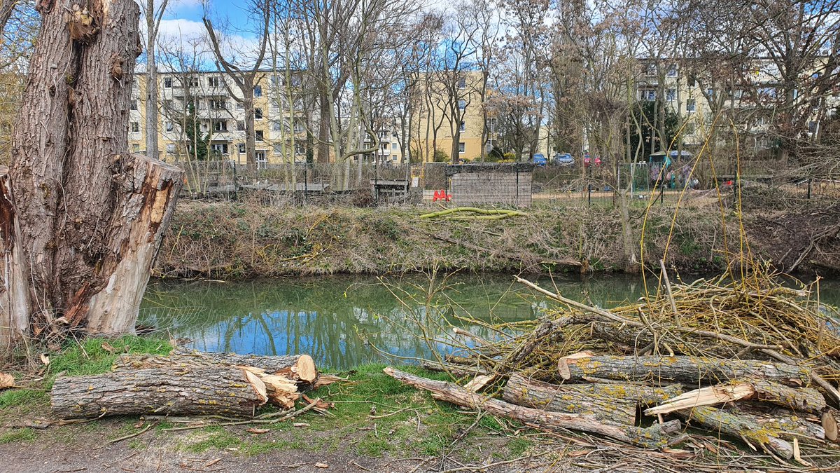 Wilde Wiese tweet media