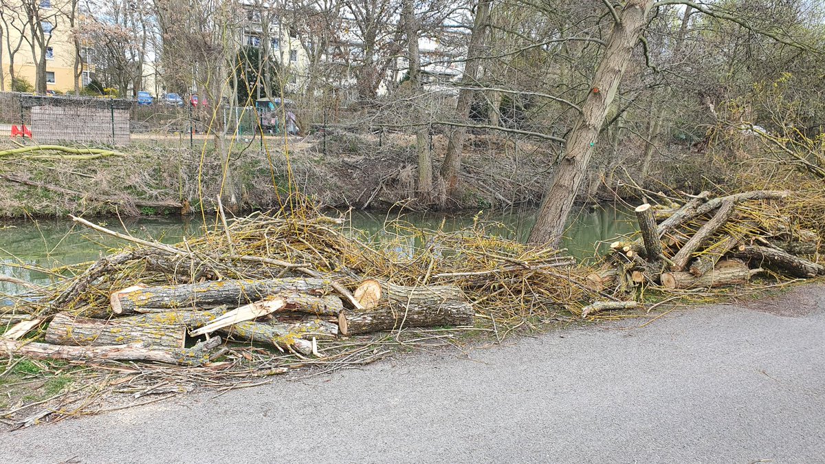 Wilde Wiese tweet media