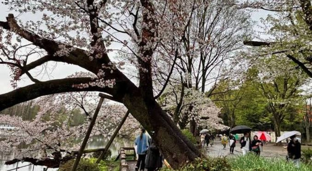 HM: Trip✈ tweet media