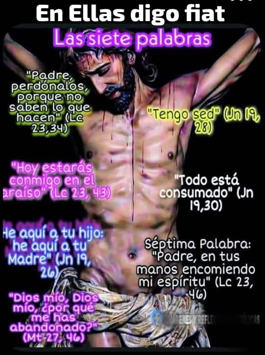 DIVINA VOLUNTAD tweet media