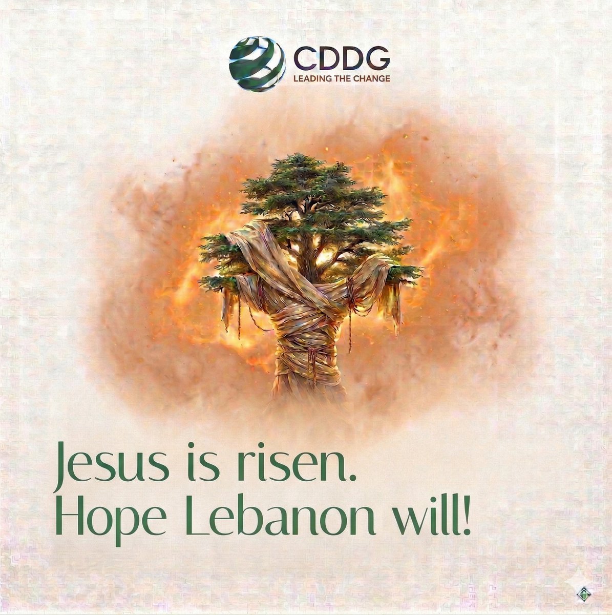 CDDG- Lebanese NGO tweet media