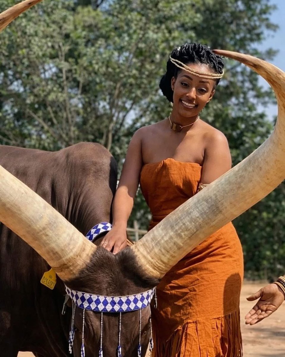 Typical African tweet media