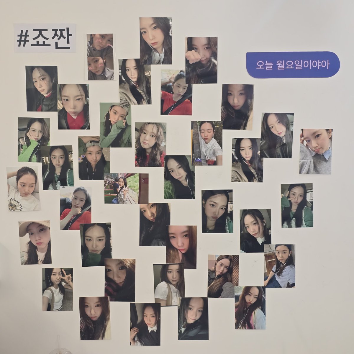 코끼리미라클 tweet media