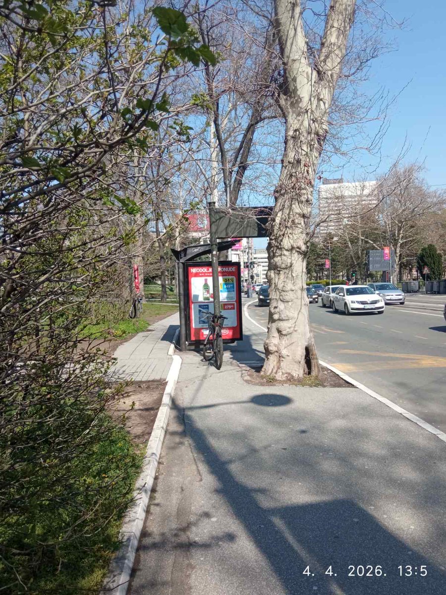 Aleksandra tweet media