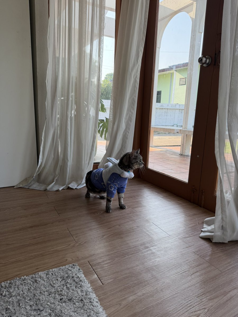 จูวเขิน 😺

#petheriaXZeeNuNew

<a href="/CwrNew/">NuNew</a>
#NuNew #NanaNu