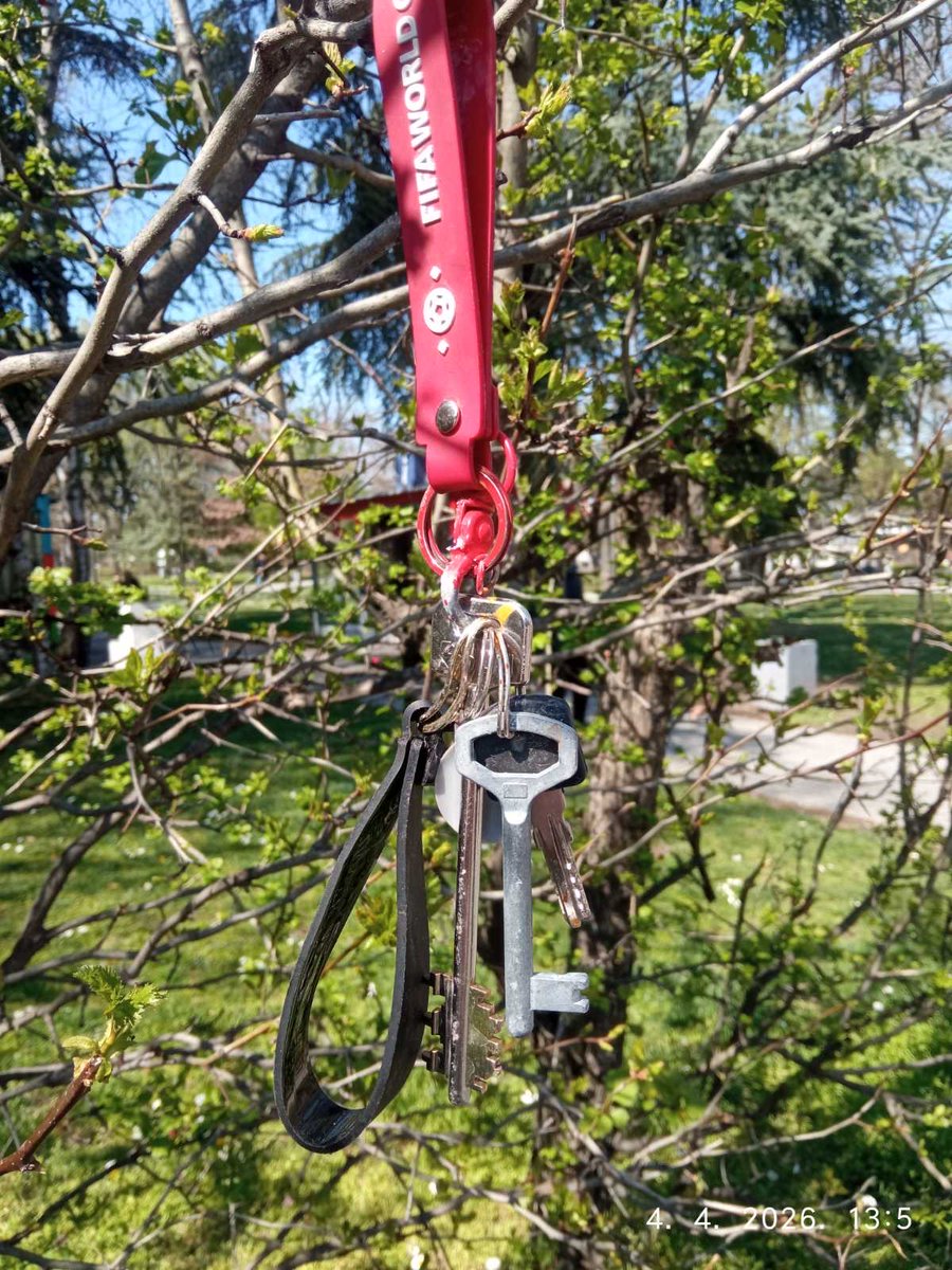 Aleksandra tweet media