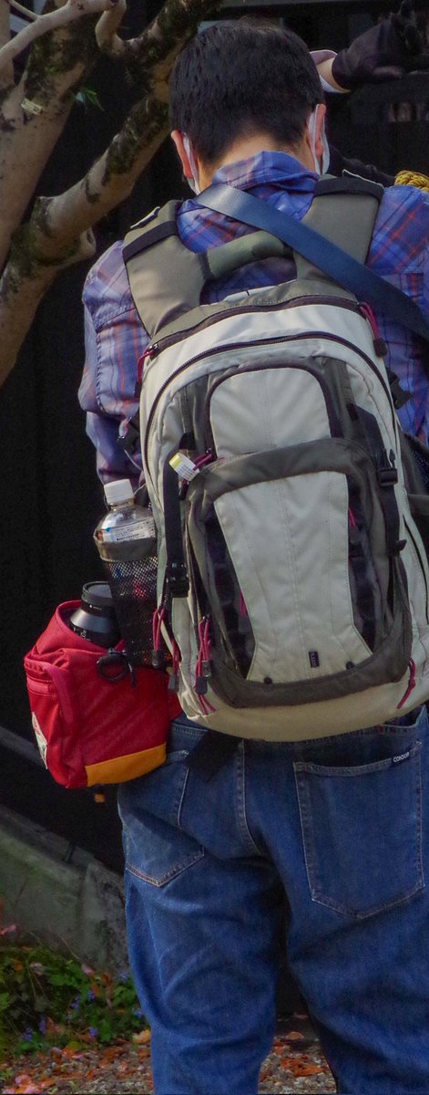 チャイ tweet media