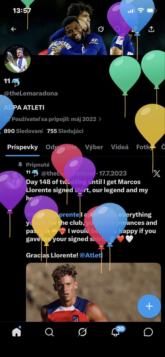 ¹¹🐬 tweet media