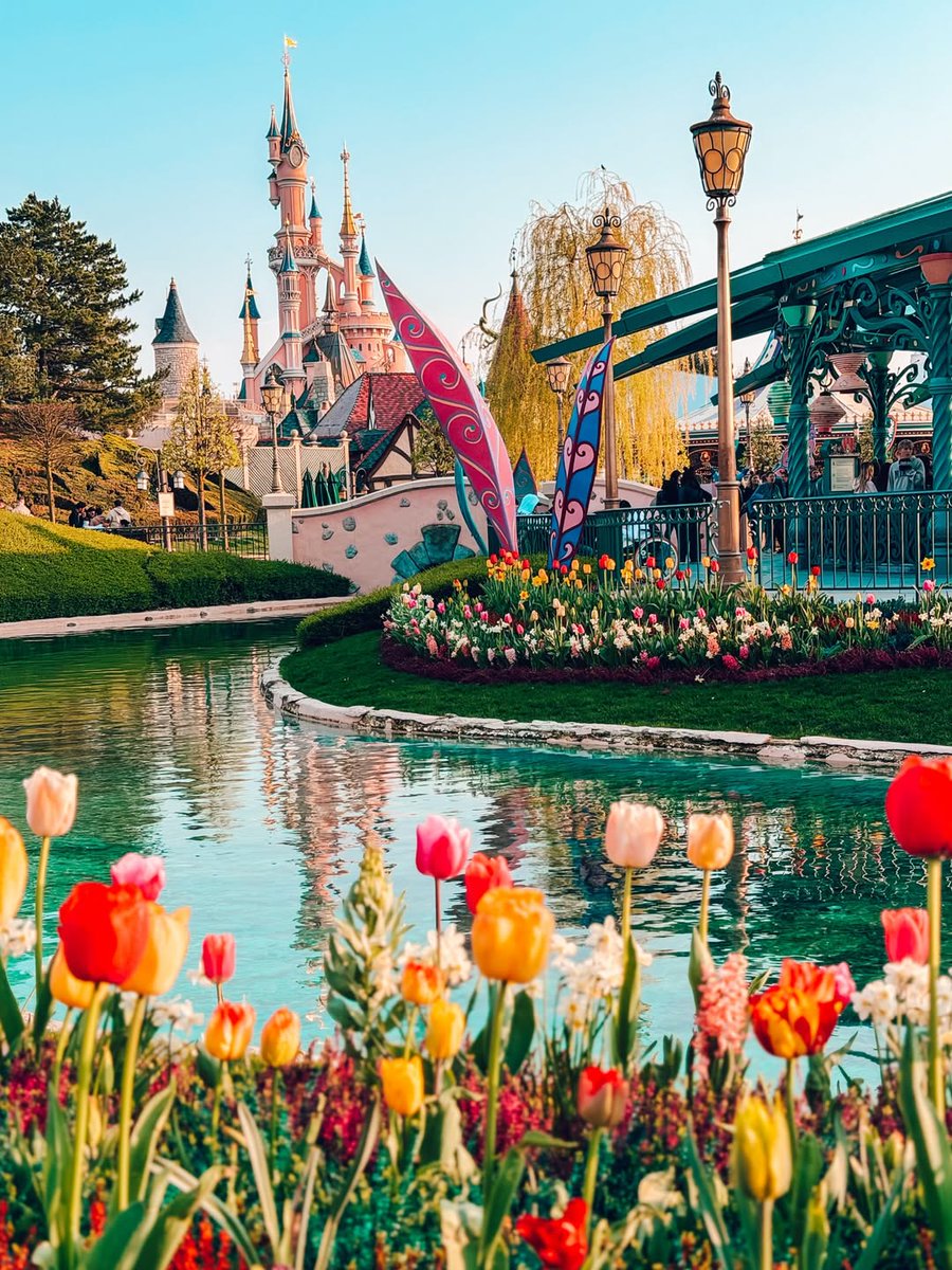 Joyeuses Pâques depuis Disneyland Paris. 🌸🐰🌼

📸Instagram : brina_and_the_wonderland

Retrouvez d’autres souvenirs partagés par nos visiteurs sur notre compte officiel Instagram ! ✨ instagram.com/disneylandpari…