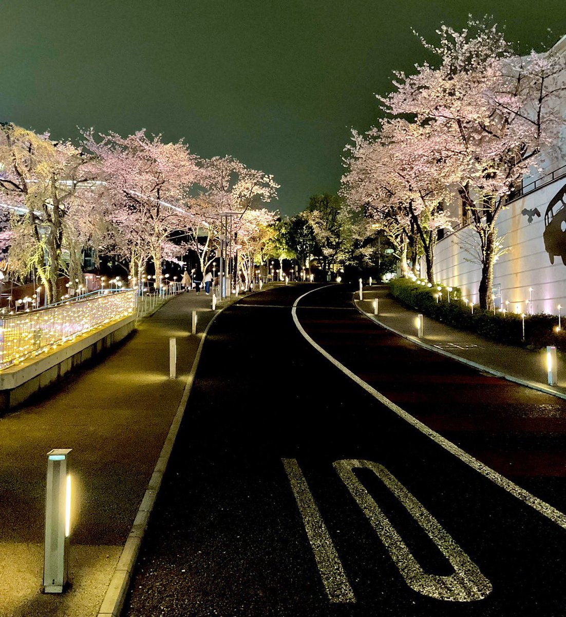 下野紘 tweet media