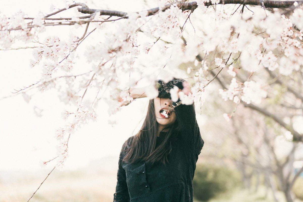 ぐるり tweet media