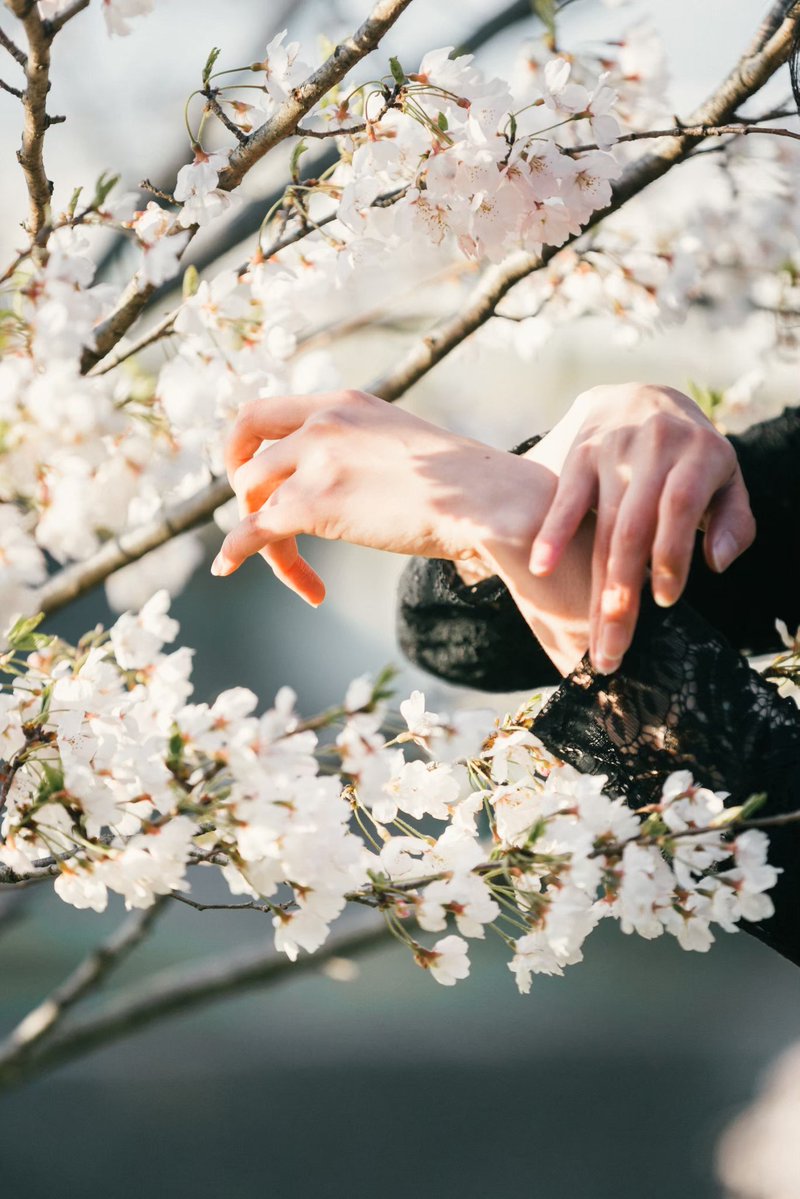 ぐるり tweet media