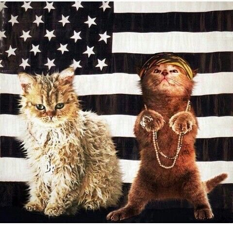 Cereza ⚢🇨🇺 tweet media