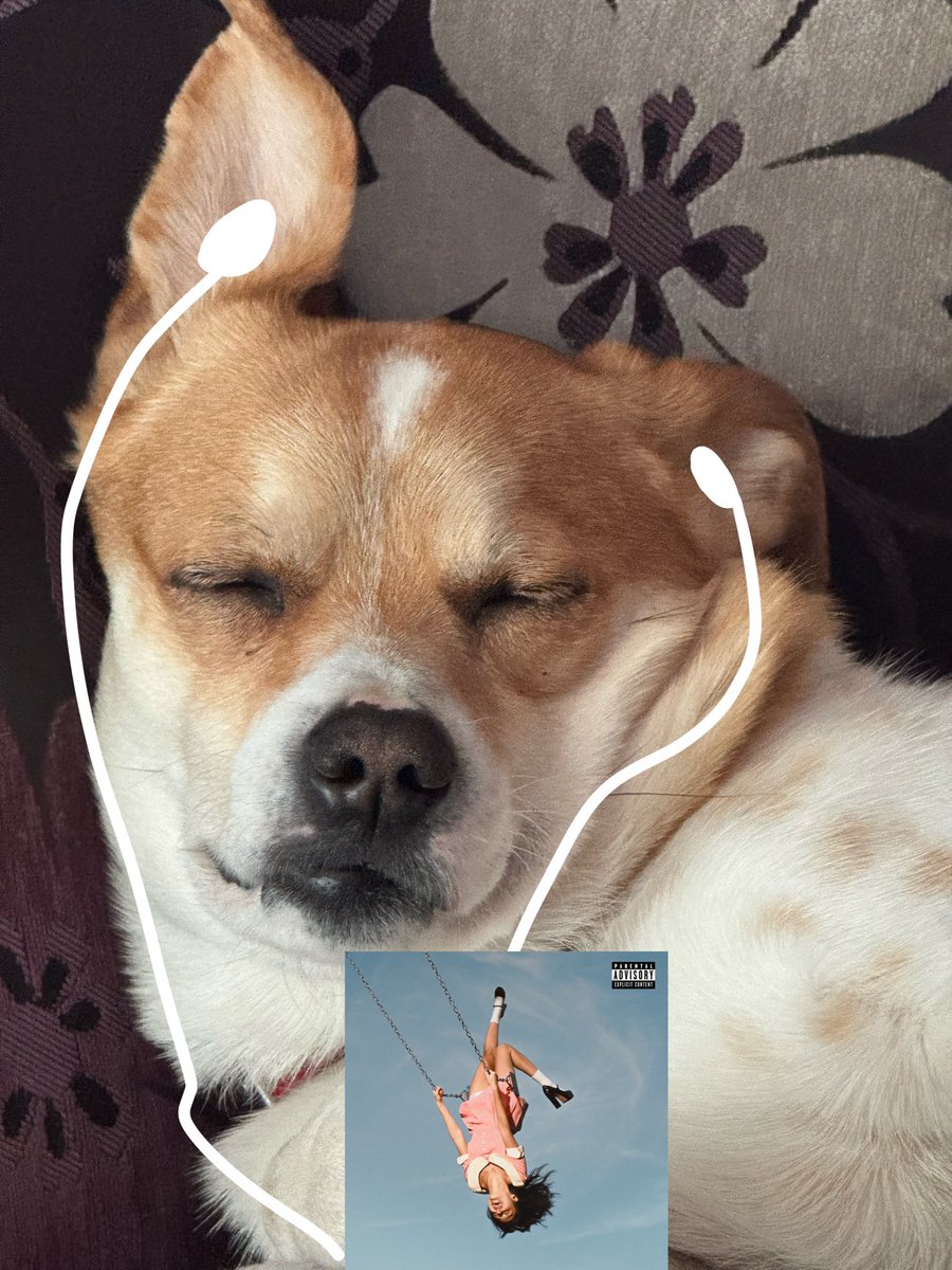 lia ‧₊˚❀༉‧₊˚. in love 💗 tweet media