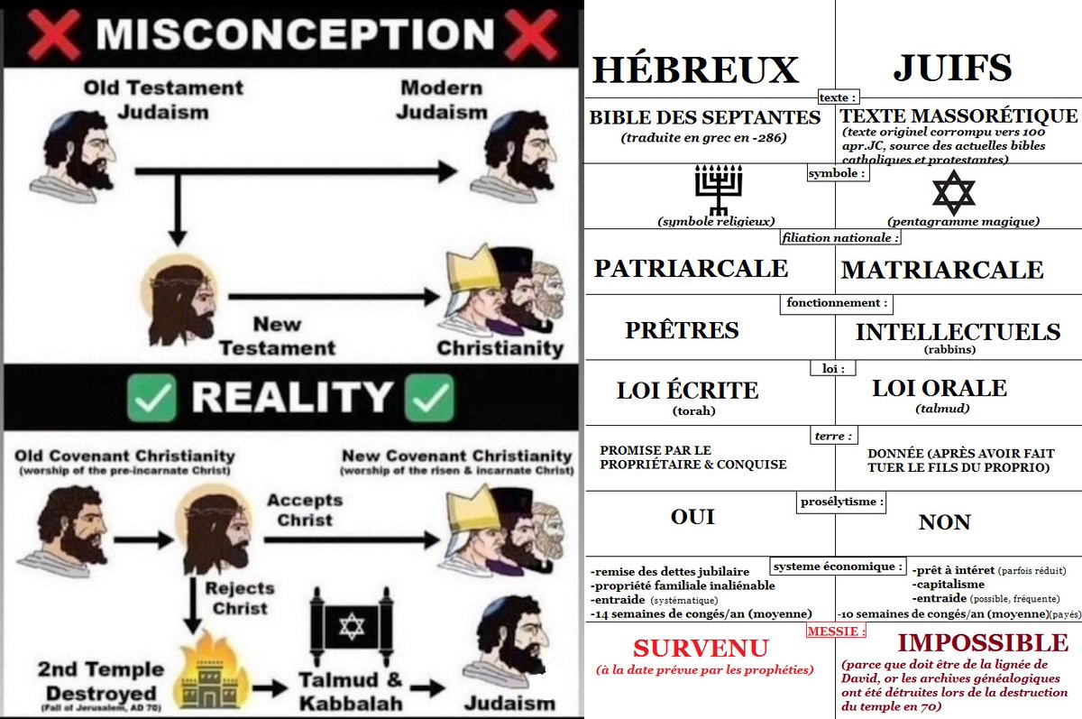 Antoine Persigny🐘✝♈⚜ tweet media