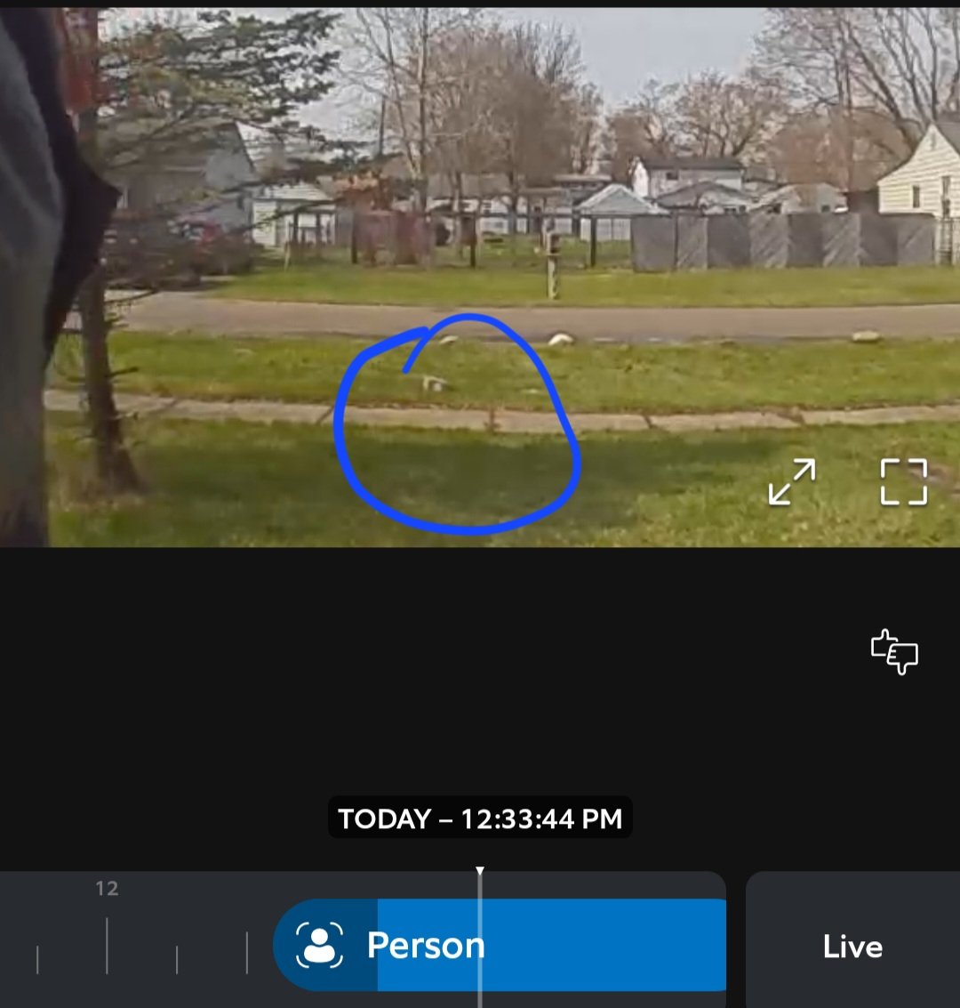 Slim_Tito's tweet photo. @FedExHelp Is it protocol for drivers to leave packages on the sidewalk/near street as opposed to the porch?!?! My dad's package was discarded like trash. The delivery photo from the street was from so far away to appear as if on porch. From Ring footage. Unacceptable. https://t.co/rLUAsjmWL1
