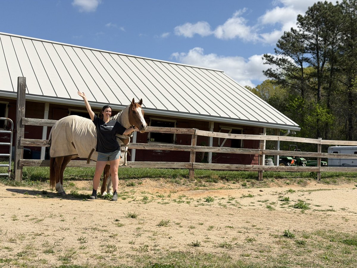 Not Scot tweet media