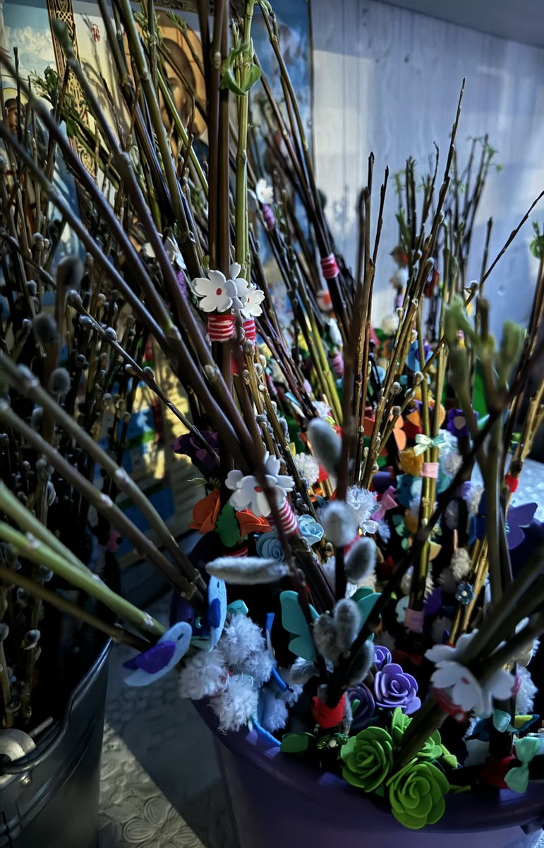 🥥토니🐿️🏔️ tweet media