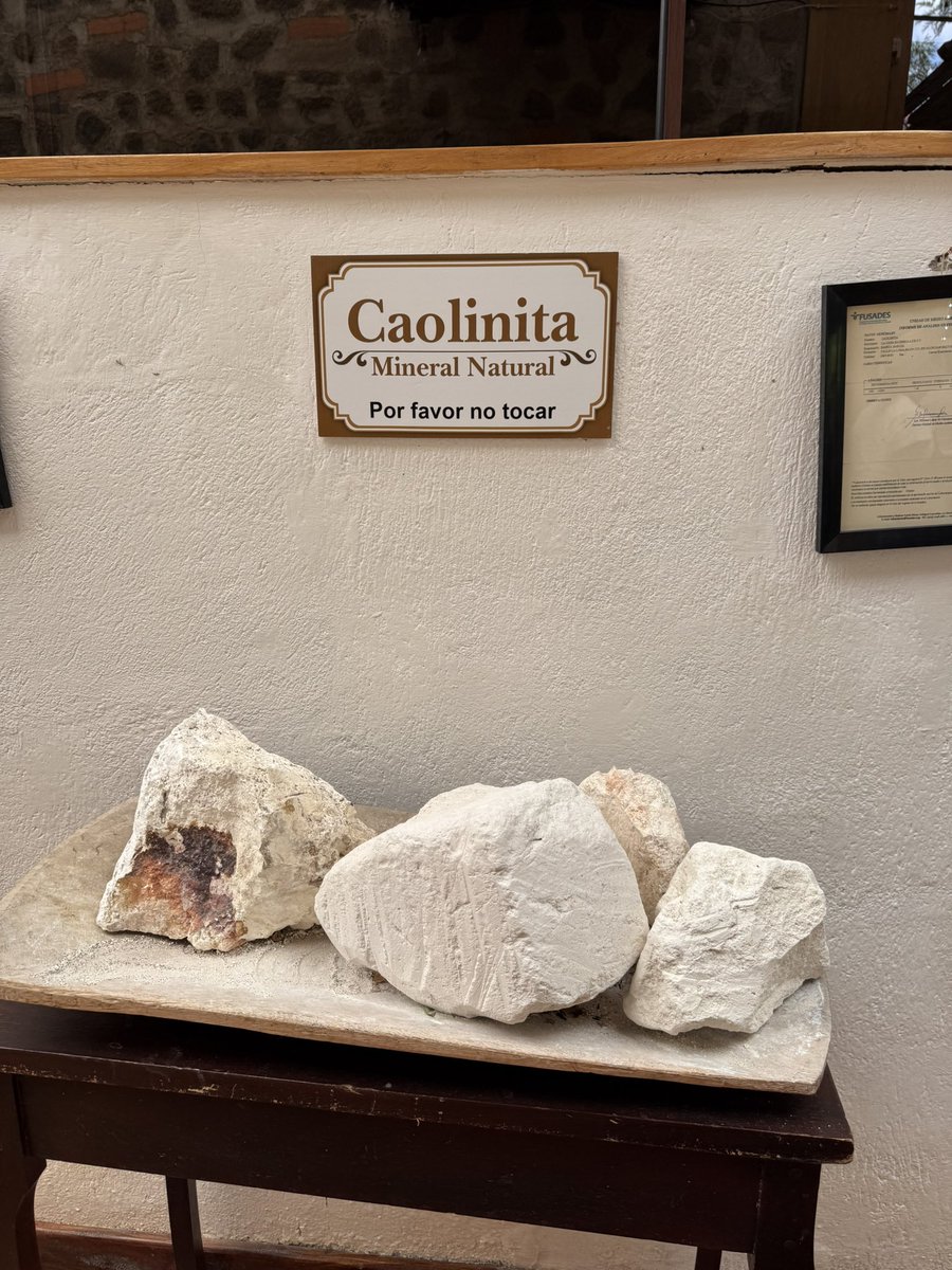 ティエラTierra🌴SoCal - SD🇺🇸 tweet media