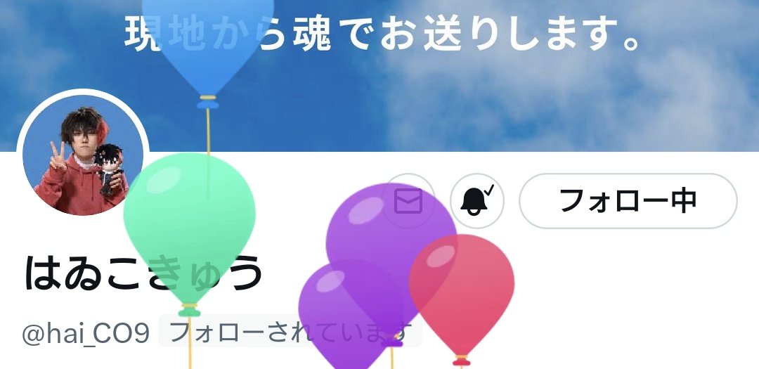 いぬき。 tweet media