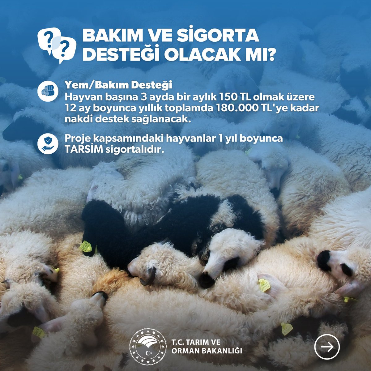 Av. Abdurrahim Fırat tweet media