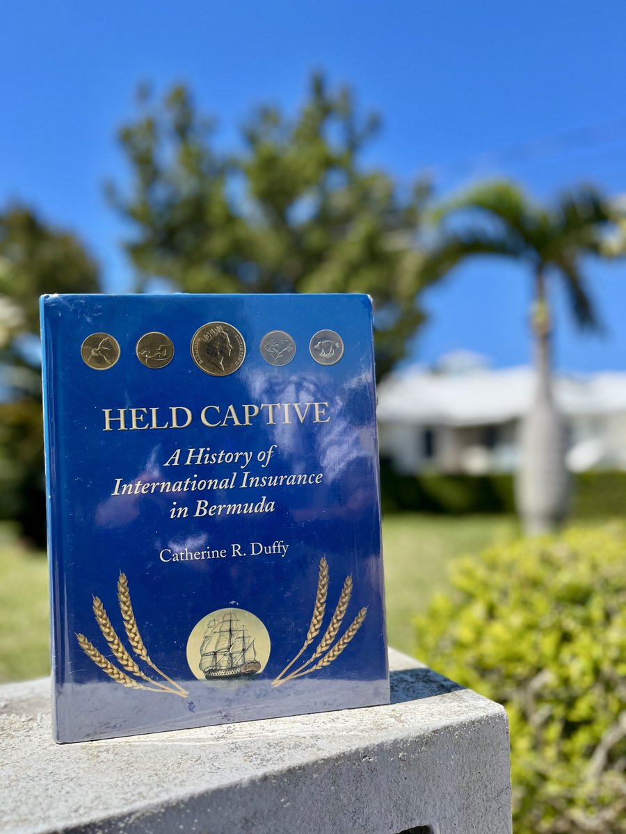 djéli 🇧🇲 tweet media