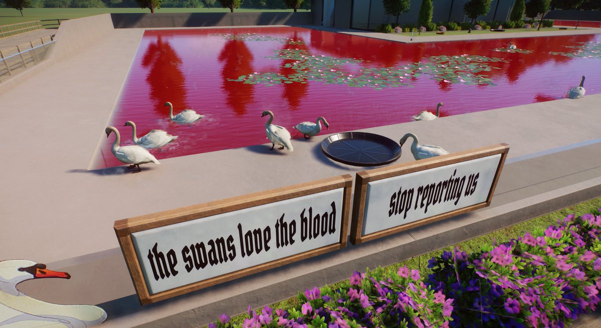 ash 🪿 tweet media