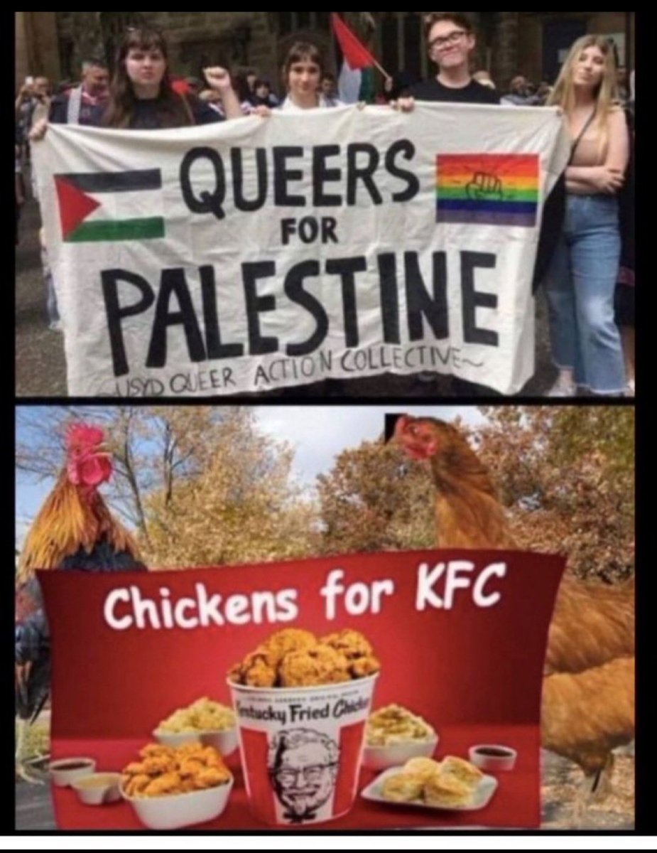 Martin J Morciglio tweet media