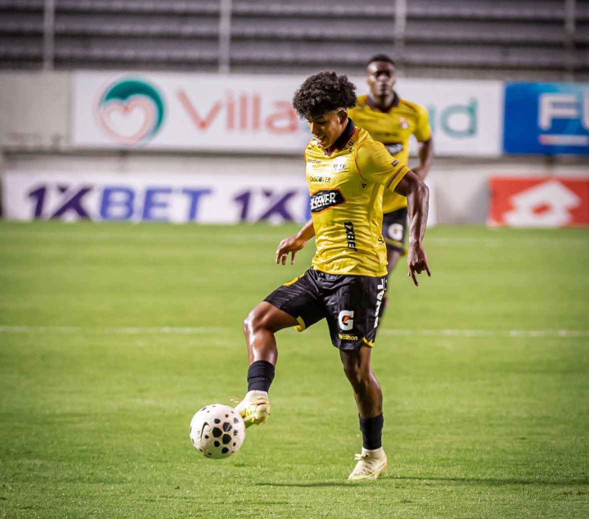 Kevin Suárez-Avilés S. tweet media