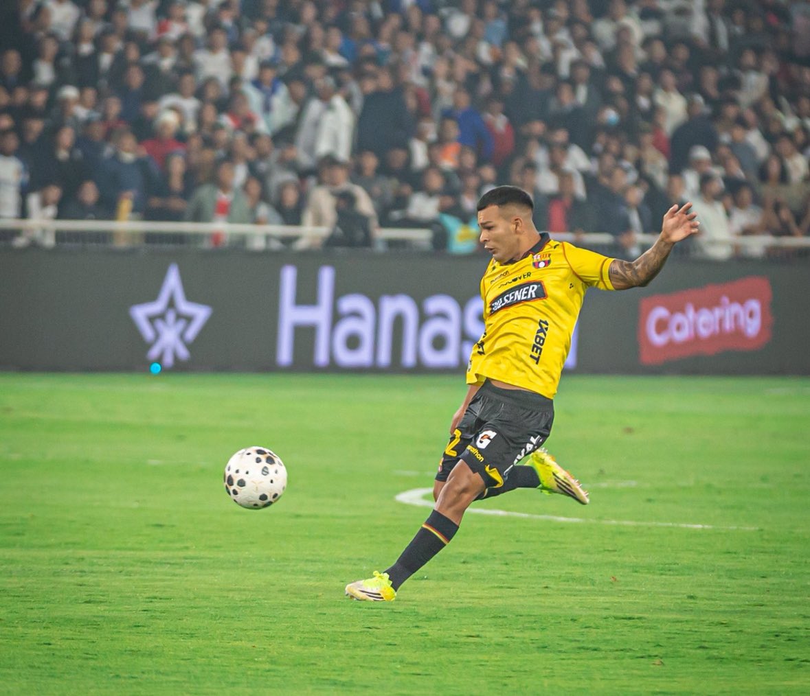 Kevin Suárez-Avilés S. tweet media