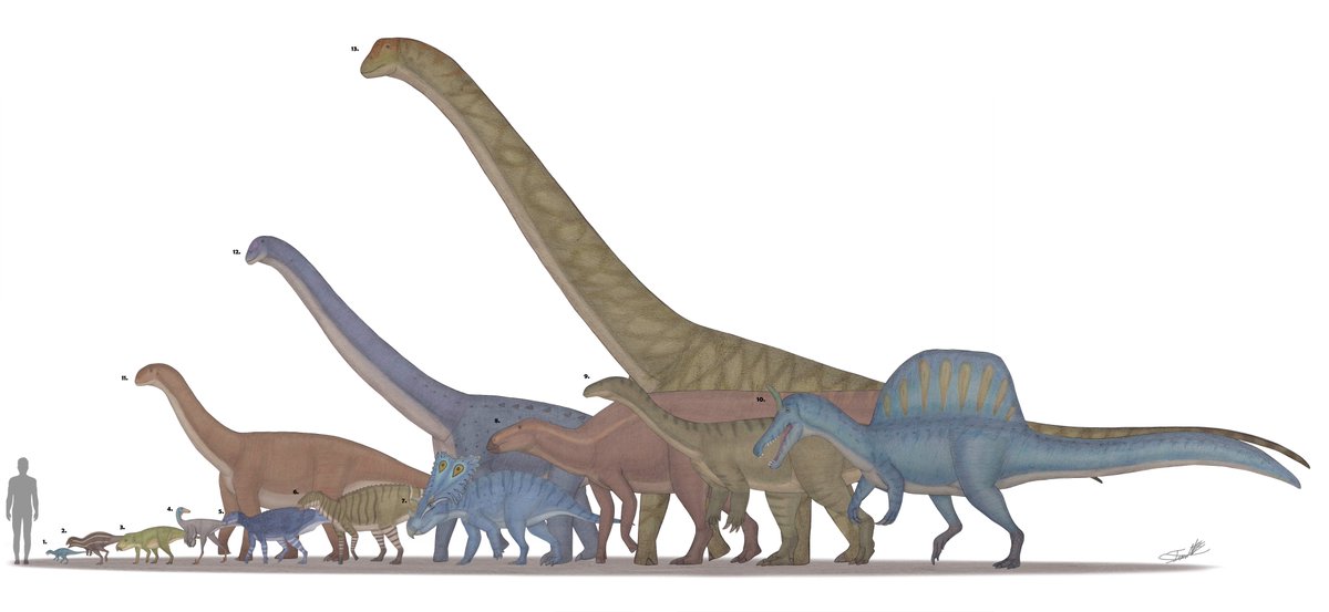 MiguelangeloTo7's tweet photo. Dinosaurios descritos  Enero – Marzo del 2026.
1. Foskeia
2. Doolysaurus
3. Ferenceratops  
4. Xenovenator
5. Haolong dongi
6. Kryptohadros
7. Cryptarcus
8. Gongshuilong
9. Xiangyunloong 
10. Spinosaurus mirabilis
11. Yantaloong
12. Yeneen houssayi
13. Dasosaurus
#dinosaur2026 https://t.co/Jnh84VugL6