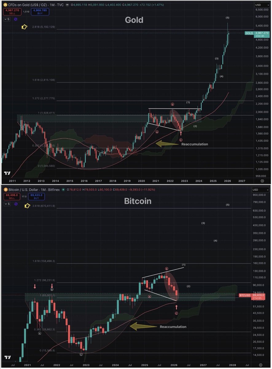 Bitcoin Teddy tweet media
