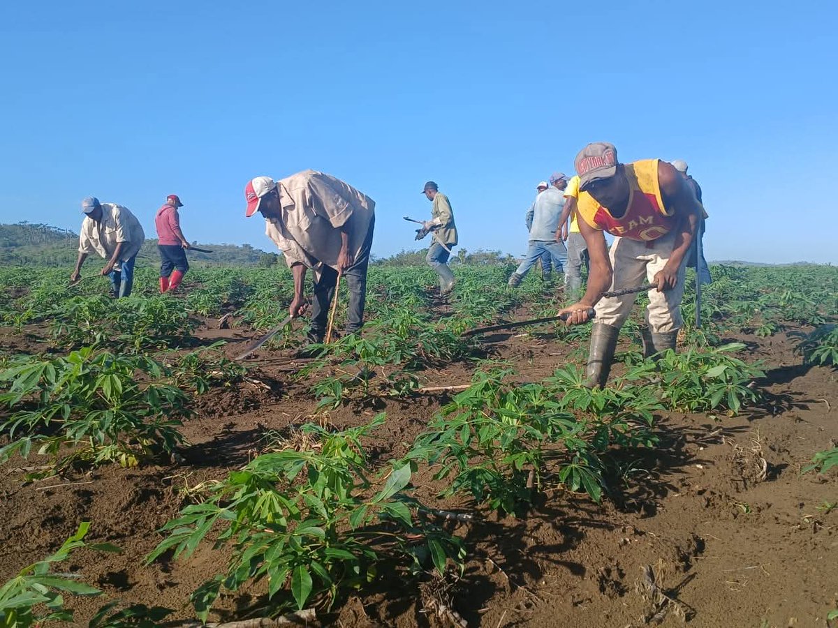#4DeAbril

Con un Trabajo voluntario  realizado en la mañana de este 4 de abril,  se saludó en el municipio santiaguero de San Luis, el aniversario de la Unión de Jóvenes Comunistas.

#JovenesComprometidos
#SantiagoDeCuba