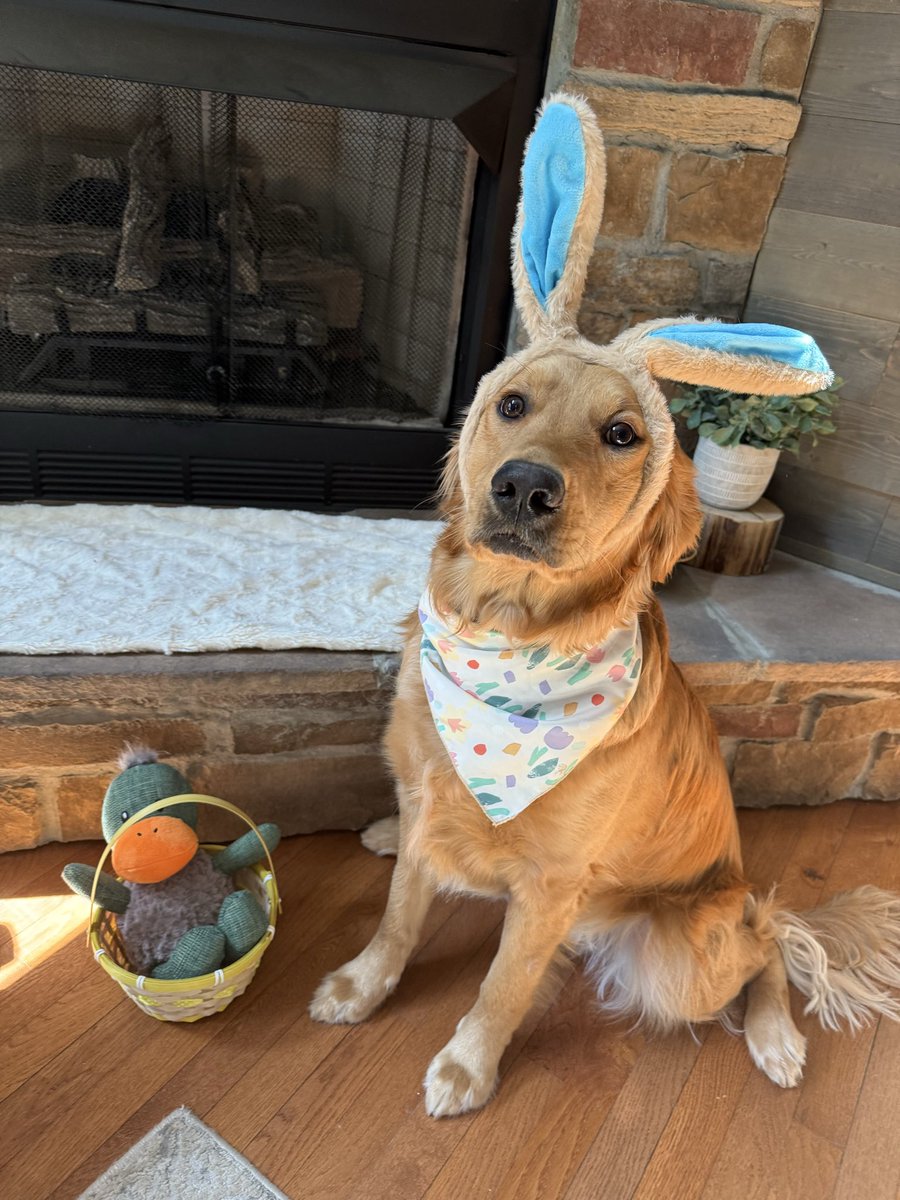 ChanceTheGolden tweet media