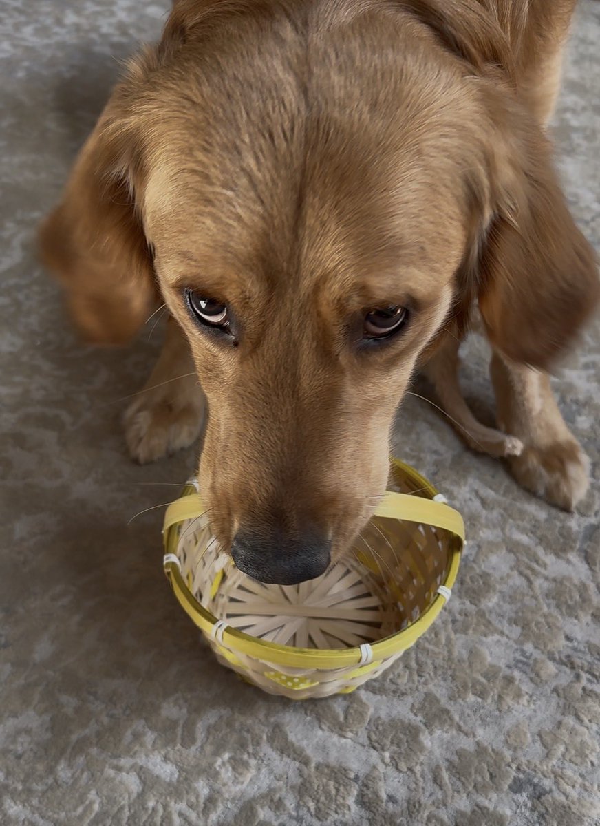 ChanceTheGolden tweet media