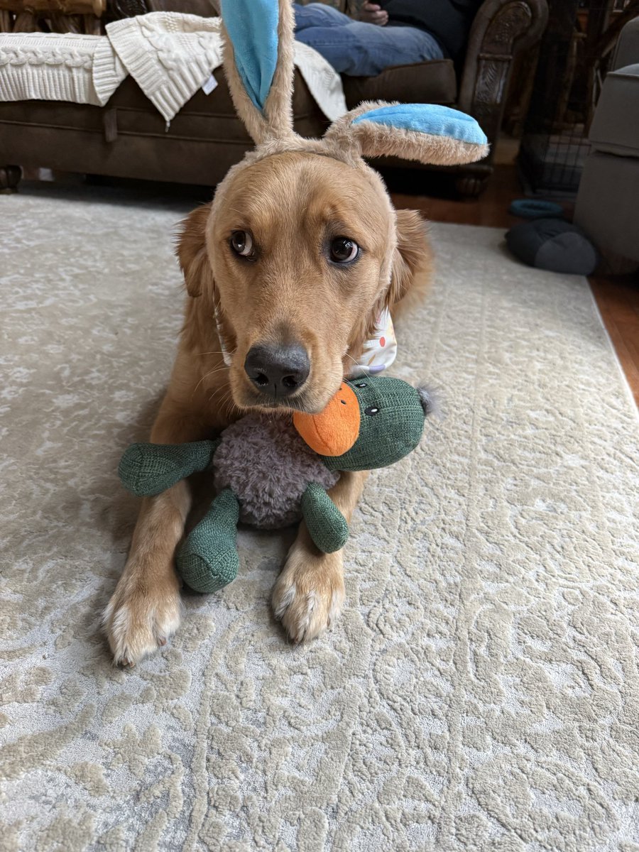 ChanceTheGolden tweet media