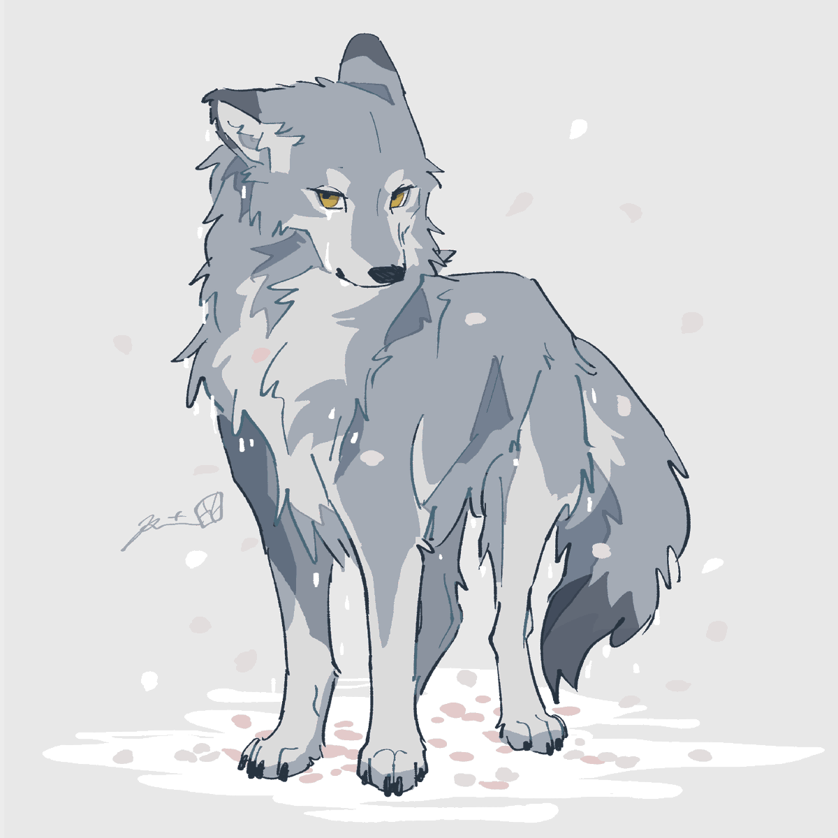 つく🌕シェルティ tweet media