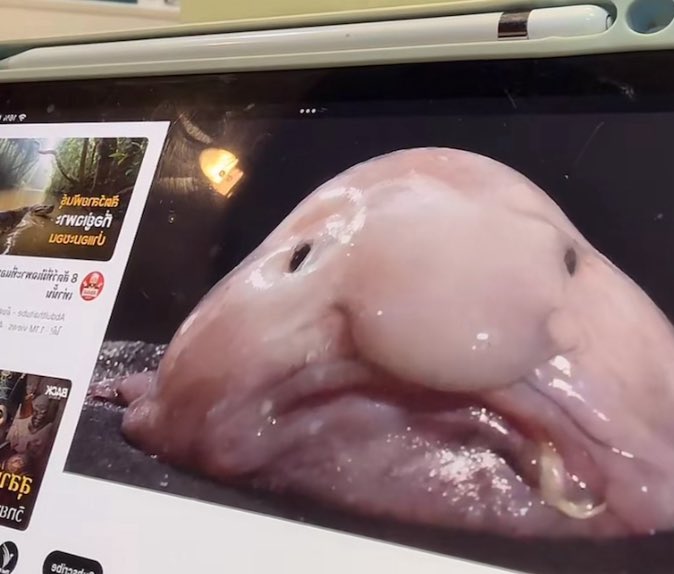 ・͛ kimnet 🍅 tweet media