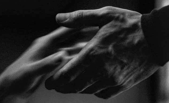 Il Viaggiatore tweet media