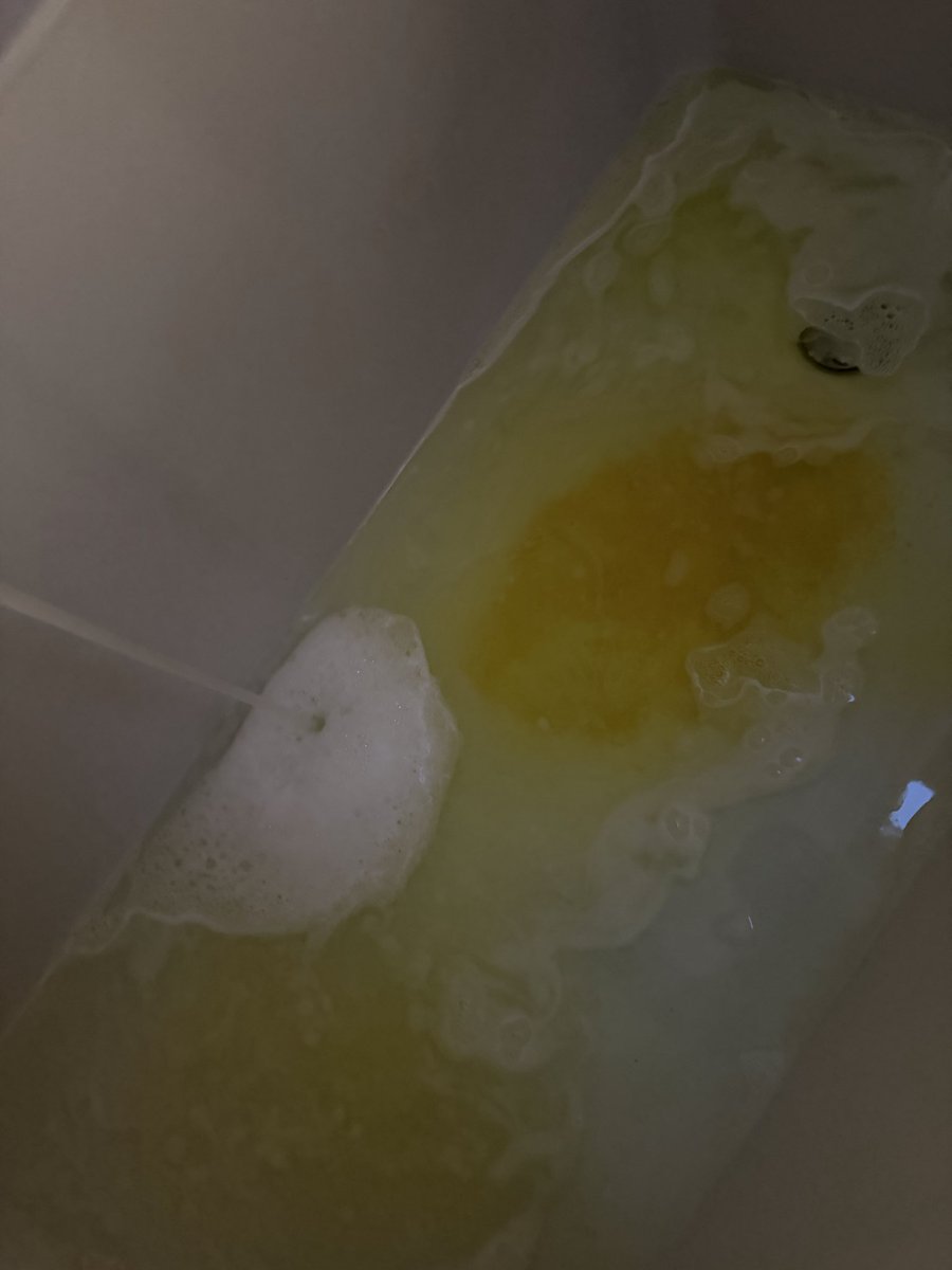 DRAGONALISMUS tweet media